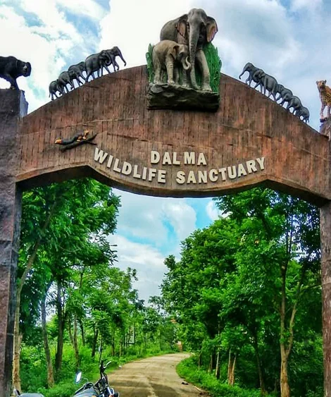 Dalma Wildlife Sanctuary